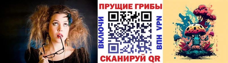 Галлюциногенные грибы Magic Shrooms  цены   Кольчугино 