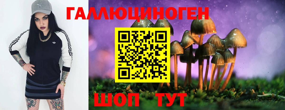 даркнет сайт  Псилоцибиновые грибы Cubensis  Вход с VPN  Кольчугино 